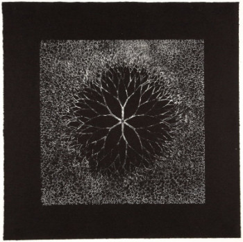 Desert Flower by Ruth Asawa