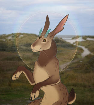 Lagomorph